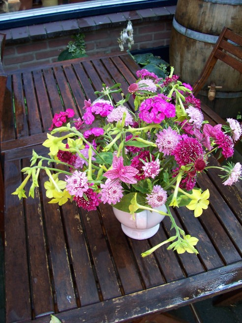 Boquet en rose