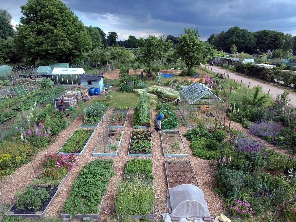 tuin smakelijk tuin smakelijk permacultuur eetbare tuin tuinontwerp tuin smakelijk tuin smakelijk permacultuur eetbare tuin tuinontwerp
